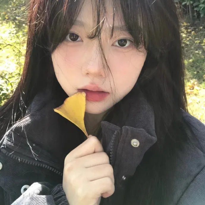 纯情罗曼史第三季